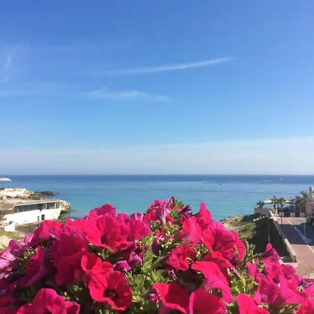 Bellariva E Relax 모노폴리